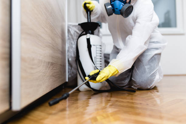 Best Best Pest Control Companies  in Monroe, UT