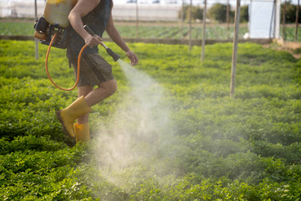 Best Ant Control Services  in Monroe, UT