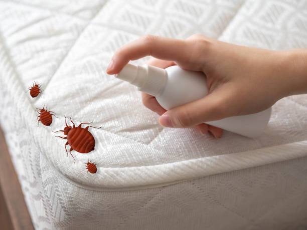Best Residential Pest Control  in Monroe, UT