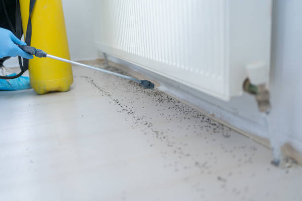 Best Pest Removal Services  in Monroe, UT