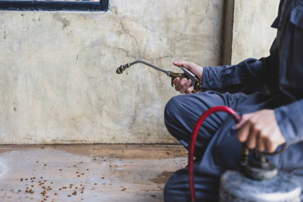 Best Pest Control Near Me  in Monroe, UT
